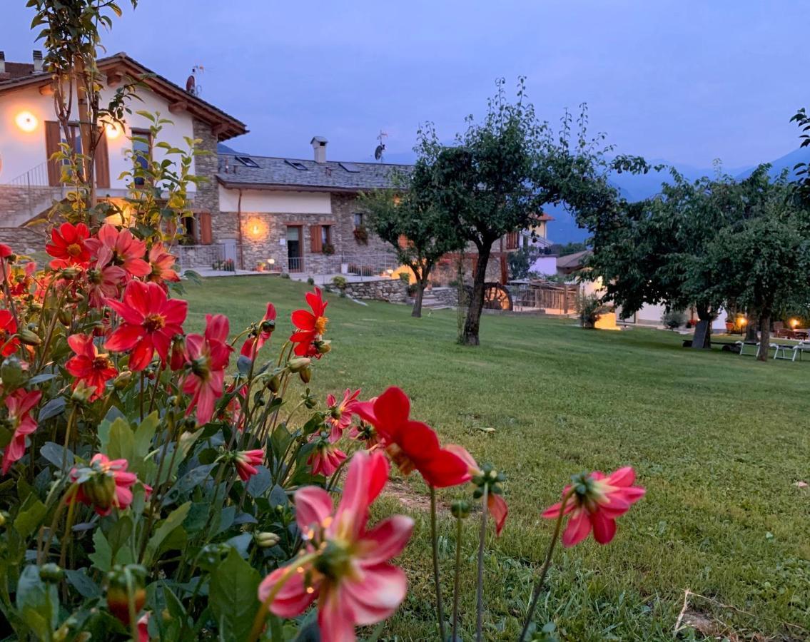 La Roggia - Lake Como Heritage Home In Molino Maufet Watermill - Patio On The Garden Colico Bagian luar foto